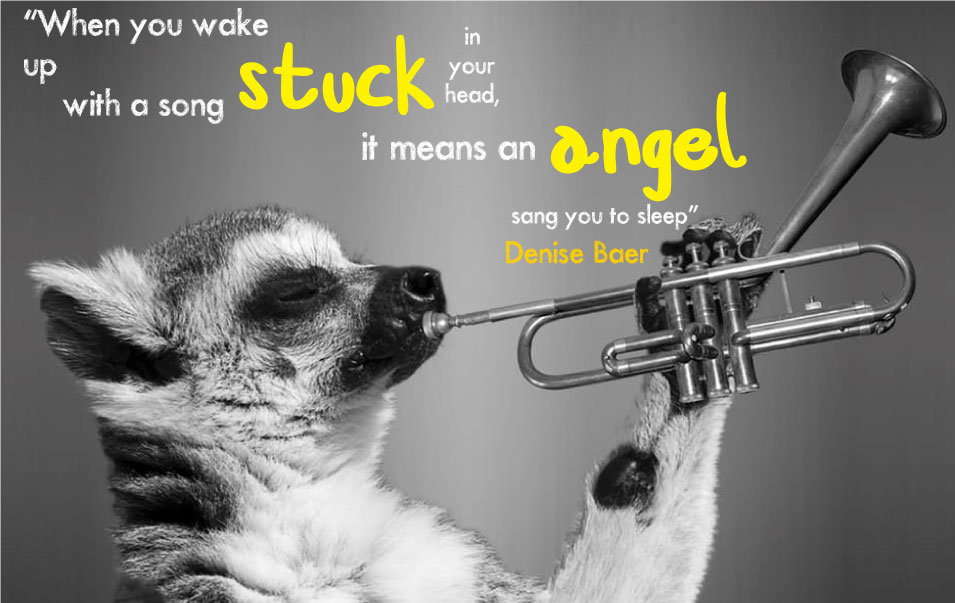 Best Songs About Sleep & Dreams