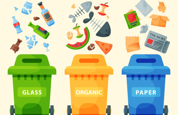 Quiz: What Type of Recycler Are You?