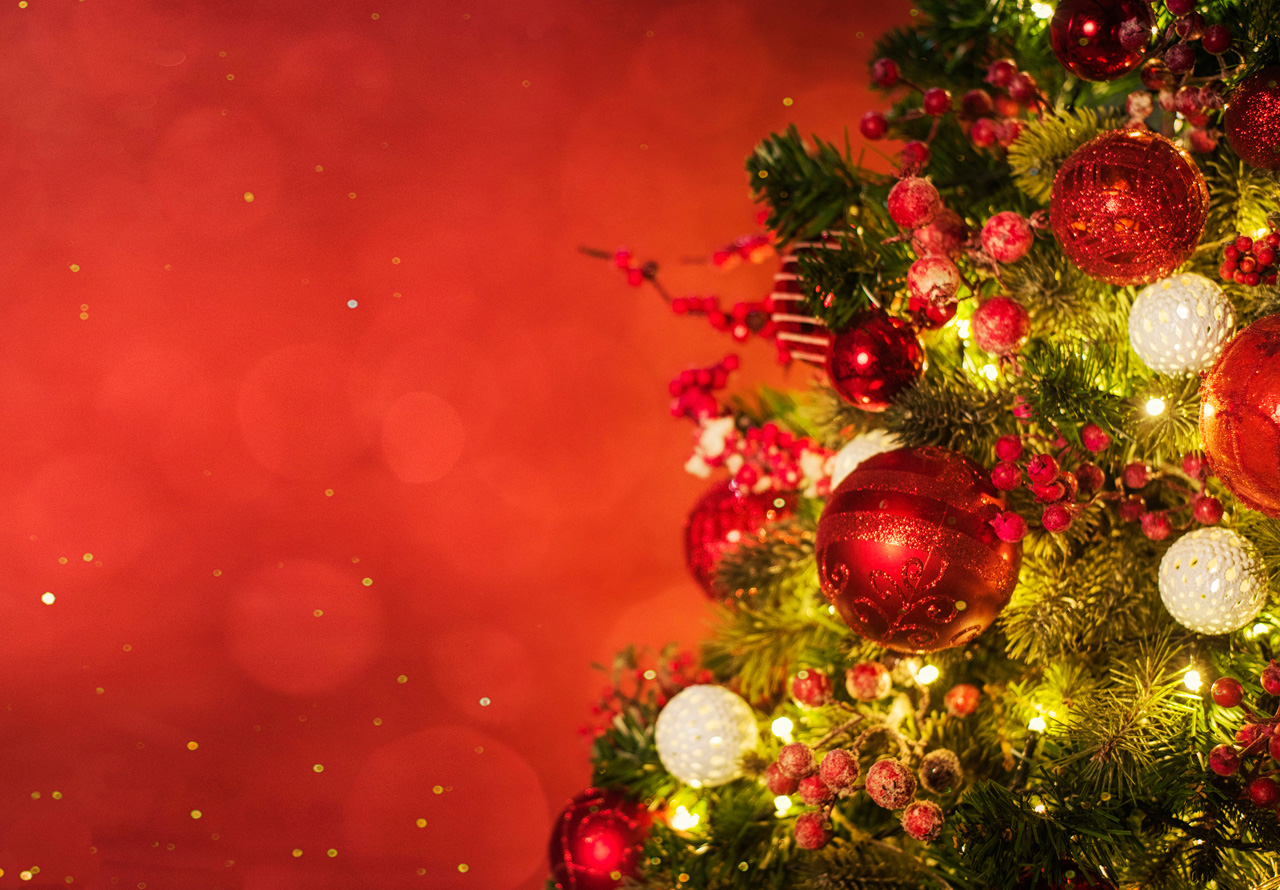 The True Scale of Christmas Waste Unwrapped