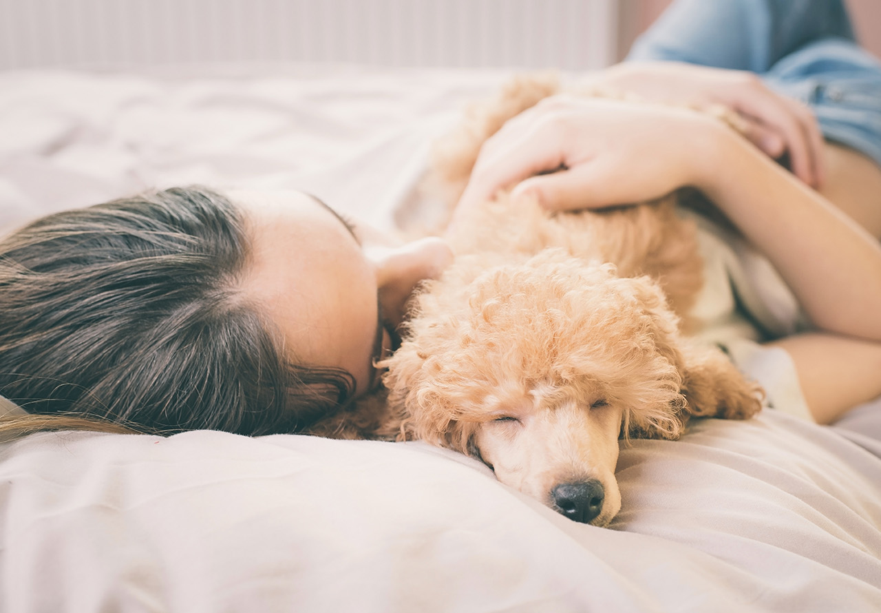 Relationships on Paws: The Debate over Pets in the Bed